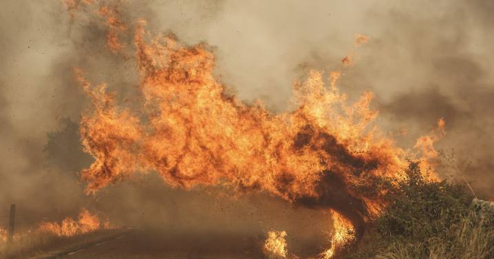 Última hora: León encara una jornada marcada por nuevos incendios y desalojos pese a los avances en la extinción