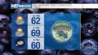 Blue skies for Blueberry Fest