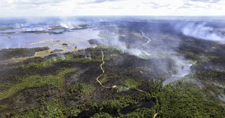 20 homes destroyed by wildfire in Nova Scotia's Annapolis Valley