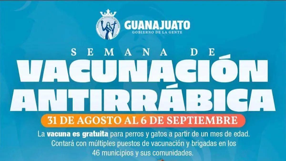 Guanajuato aplicará más de 900 mil vacunas antirrábicas en su jornada estatal 2025: Estas son las sedes en León