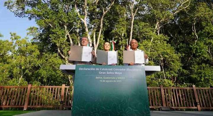Latin American States Protect Second-Largest American Rainforest as the ‘Great Mayan Reserve’