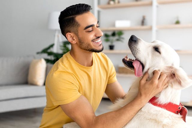 Cómo tu perro entiende tus emociones: la ciencia detrás de su vínculo