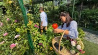 Hidden garden blooms in the middle of East Harlem