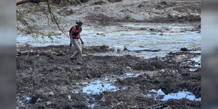 Knoxville police K-9 team help with search and rescue efforts after Texas flooding