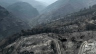 Galicia encara una jornada con tres incendios activos y casi 92.000 hectáreas calcinadas