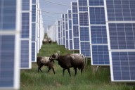 China rushes to build out solar, and emissions edge downward