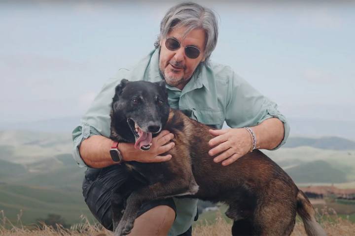 Hero Dog from 'Real-Life Bullfight' After Agitated Bull Escapes and Threatens Pet's Family