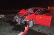 Destroza auto al chocar con vaca