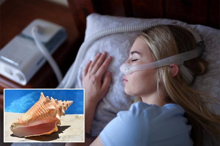 Ancient Indian seashell trick can help with sleep apnea: study