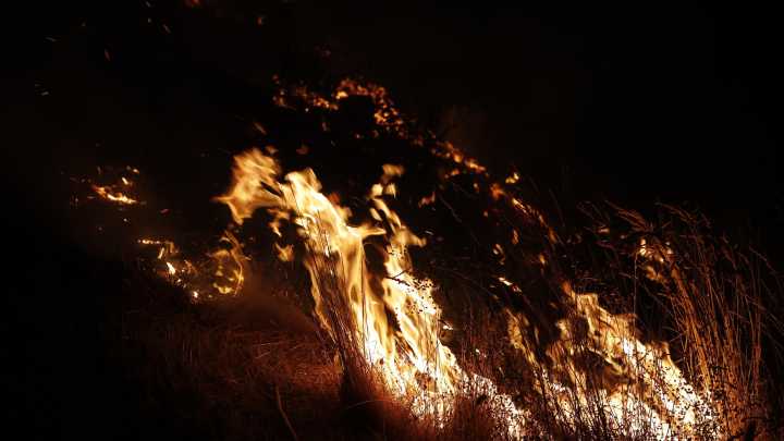 15 incendios graves mantienen en vilo España: avance descontrolado en Zamora y evacuaciones en Asturias