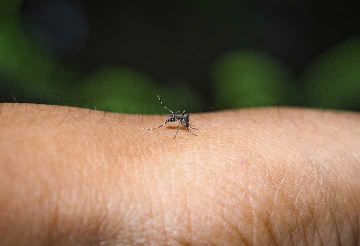 San Antonio mosquito traps tests positive for West Nile virus