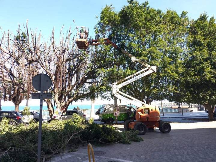 El Ayuntamiento inicia un servicio de tarde para la limpieza de los espacios verdes de la ciudad