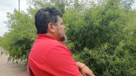 Joven embarazada huyó de violencia en CDMX y murió en Parral tras el parto; piden apoyo para regresarla a casa