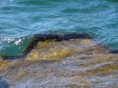 Raw sewage spill prompts no-contact advisory in Traverse City