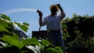 Green spaces are key to combating record heat in marginalized communities