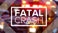 Minivan driver dies after hitting disabled semi truck in Wood County