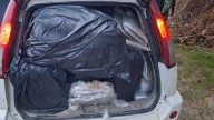 Operativo en Rioblanco deja un muerto y media tonelada de marihuana incautada