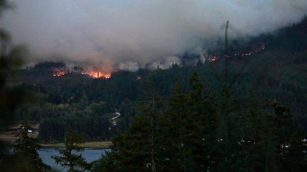 Wildfire crews hope for reprieve as rain falls on Vancouver Island blaze