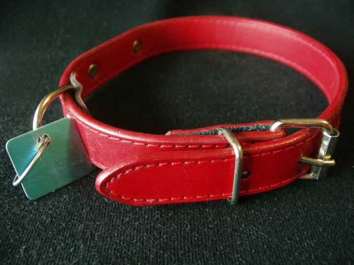 CoreWeave: Core Needs A Collar (NASDAQ:CRWV)
