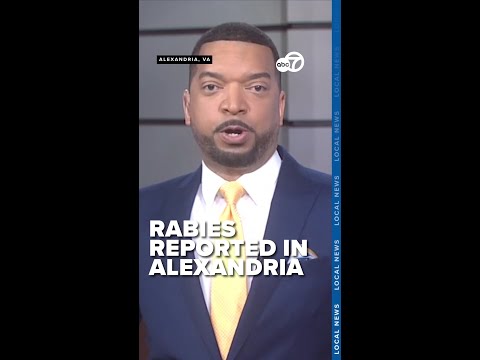 Rabies alert issued after fox and cat encounter in Alexandria neighborhood