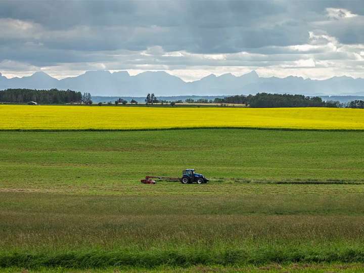 Varcoe: Alberta premier says Canada's EV tariff should be 'reconsidered' amid canola trade dispute with China