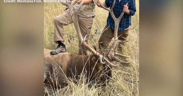 Michigan father and son face felony wildlife charges in Montana