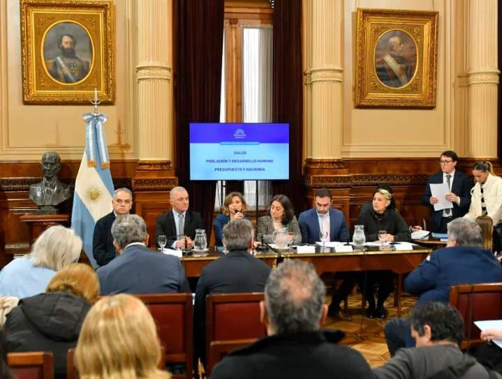 Senado: la oposición logró dictaminar la emergencia en pediatría y pone contra las cuerdas al Gobierno