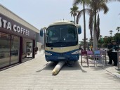 El extraño caso que deja sin palabras a todo el mundo en Tenerife Sur: “¿Cómo acabó la palmera debajo de la guagua?”