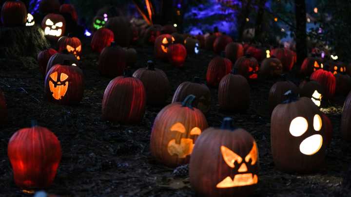 Halloween at Newfields: 2025 Harvest Nights tickets and new attractions