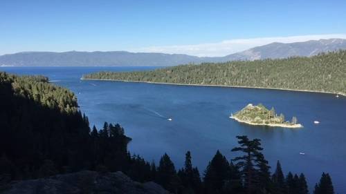 South Lake Tahoe resident tests positive for plague, likely from flea bite: health officials