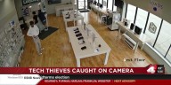 CAUGHT ON CAMERA: Thieves target Hastings business
