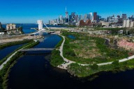 How cities can give nature a helping hand
