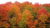 Michigan fall colors are coming soon. When, where to see them this fall