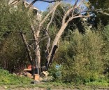 Bicycle chop-shop found in encampment