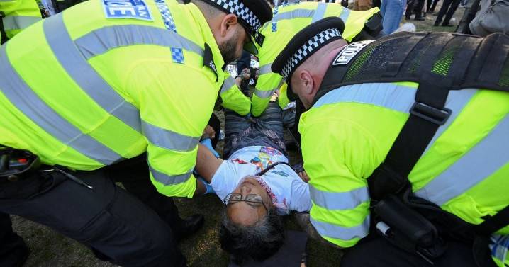 Más de 360 arrestos en Londres por manifestación a favor de Palestina