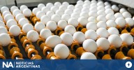 Huevos que rompen la calma en Estados Unidos: brote de salmonela