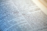 Cambridge Dictionary’s latest additions include ‘skibidi,’ ‘tradwife’ and ‘delulu’