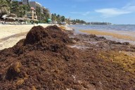 Recales de sargazo continúan en Playa del Carmen; ventas y economía se ven afectadas