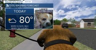 Staying unseasonably cool