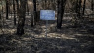 Lo peor está por venir, advierten los expertos: después de las llamas llega el "post incendio"