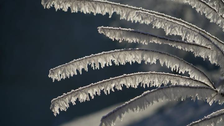 In 1816, Michigan didn't have a 'summer.' Here's how that happened.