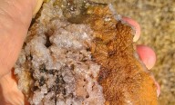 San Luis Potosí en el top 10 nacional de minería