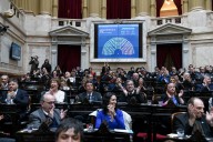 Ley de Emergencia en Discapacidad: 4 de los 5 diputados de San Luis rechazaron el veto