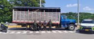 Incautan camión con madera de procedencia ilegal en vía de Bolívar