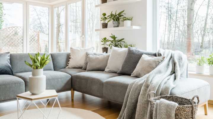 The Easy-To-Grow Indoor Flowering Plant That'll Bloom In Your Home Year