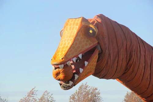 Pumpkin patches provide ultimate fall destinations