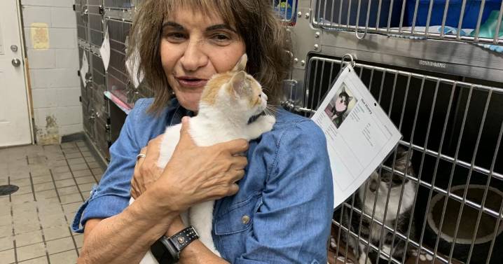 Former Visit Johnstown marketer Korenoski hired by Humane Society of Cambria County