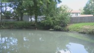 Virginia Beach neighbors seek answers on Thalia Creek odor