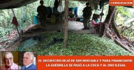 En qué momento la guerrilla perdió su propósito político y se dejó tentar por el narcotráfico