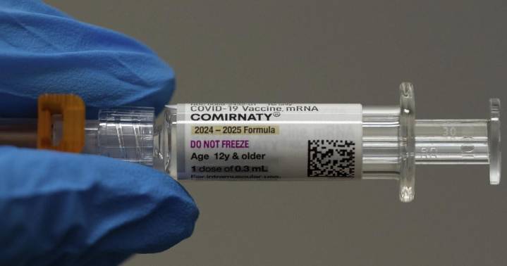 Understanding mRNA vaccines, summer heat and a meteor shower
